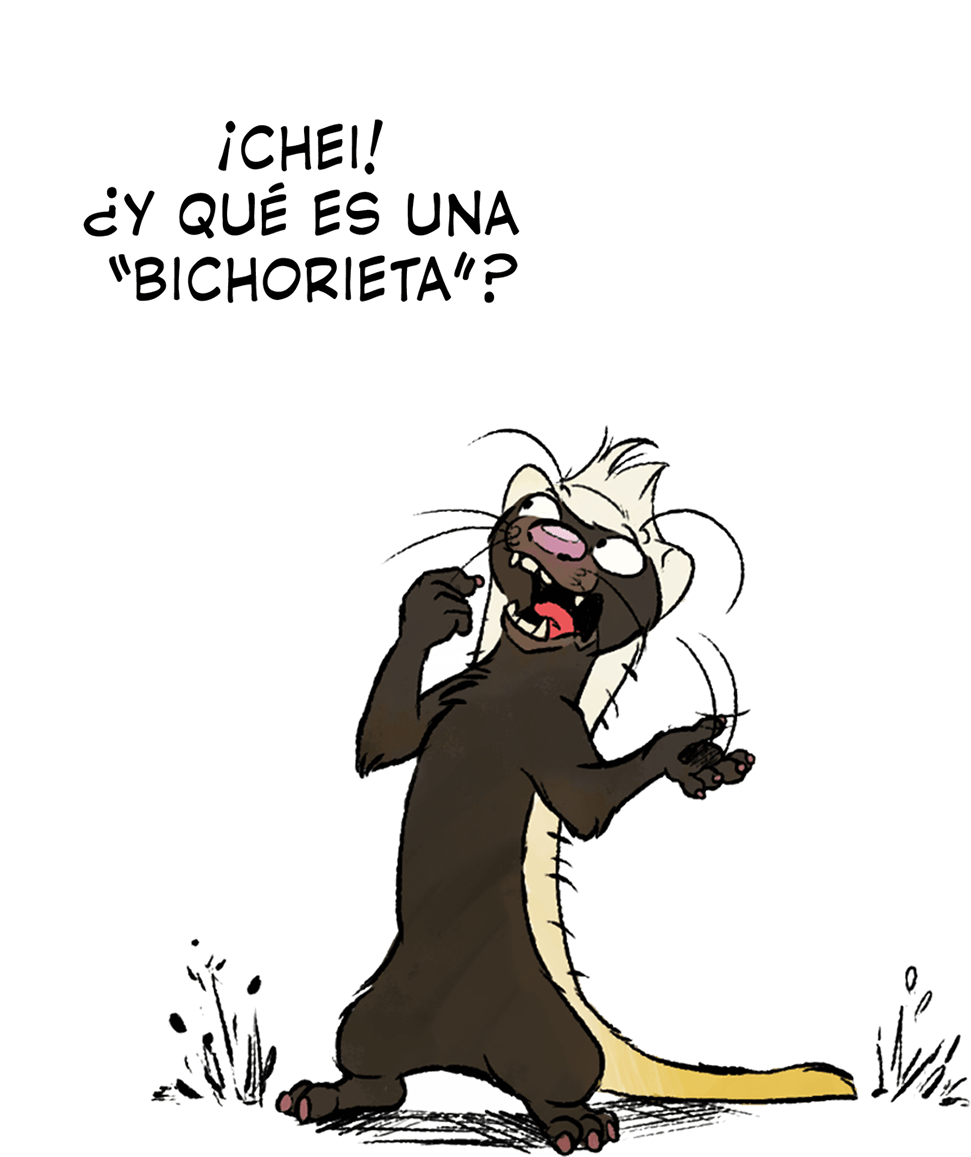 Esteban preguntando que es una Bichorieta