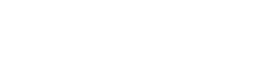 Bichorietas
