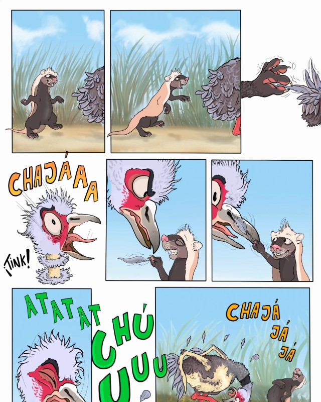 Preview de PLUMAS DE CHAJÁ