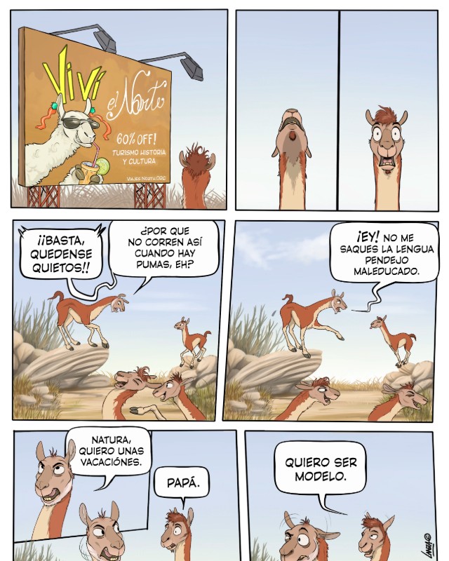 Preview de UN GUANACO CON UN SUEÑO